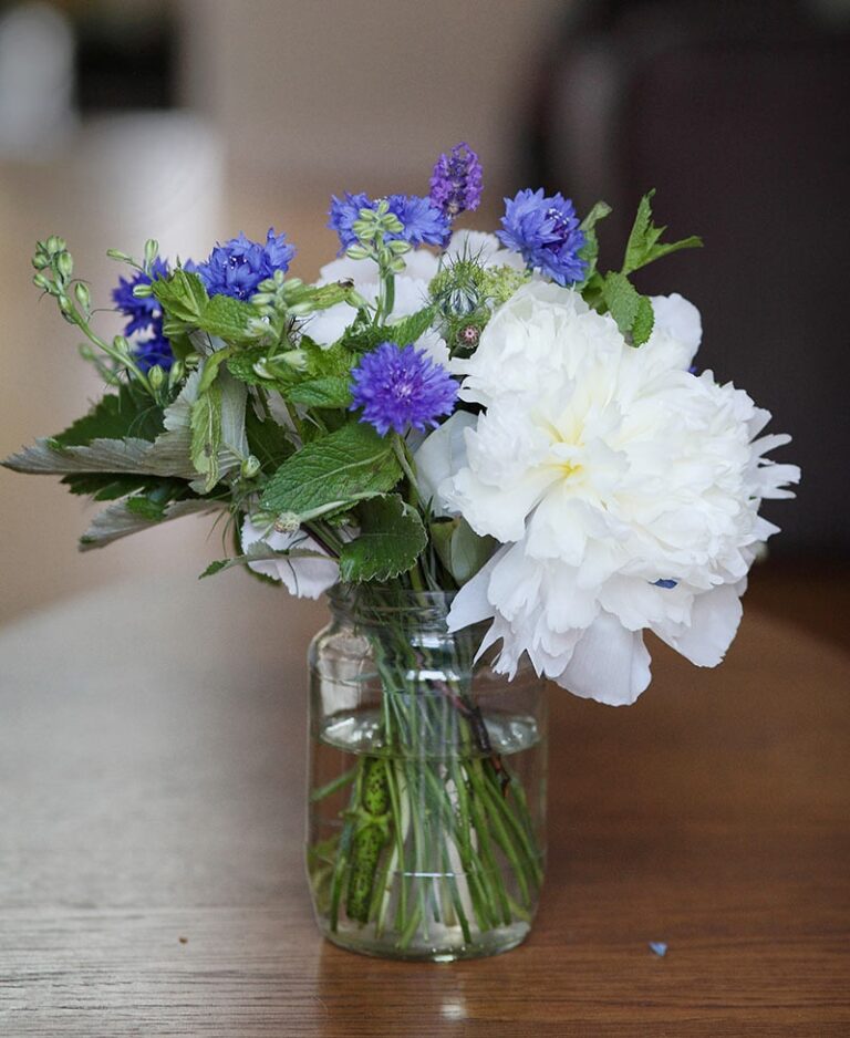 A jam-jar arrangement of white peony and blue cornflower, Rebecca Mays