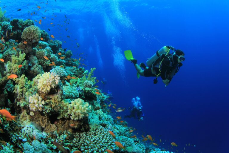 Scuba diving, Reethi Beach Maldives