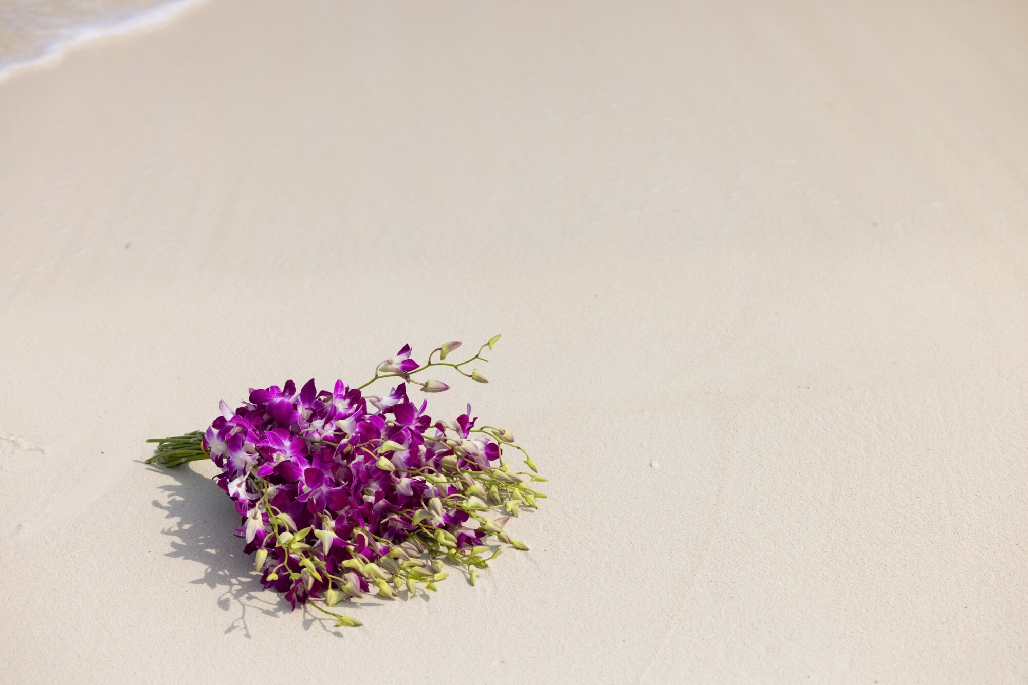 Romantic Celebration Package, Reethi Beach Maldives