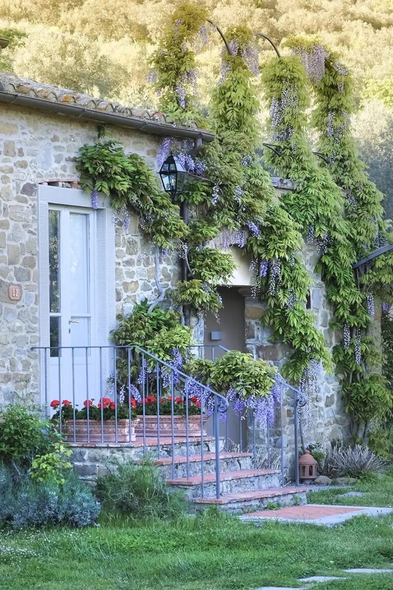 A Wisteria-Clad Cottage, Relais & Châteaux Il Falconiere & Spa