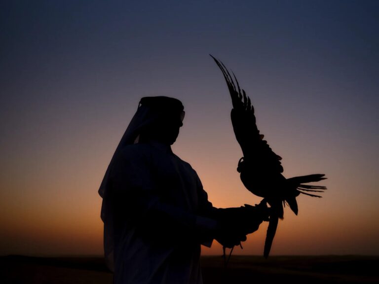 Falconry at Sunset, Rosewood Doha