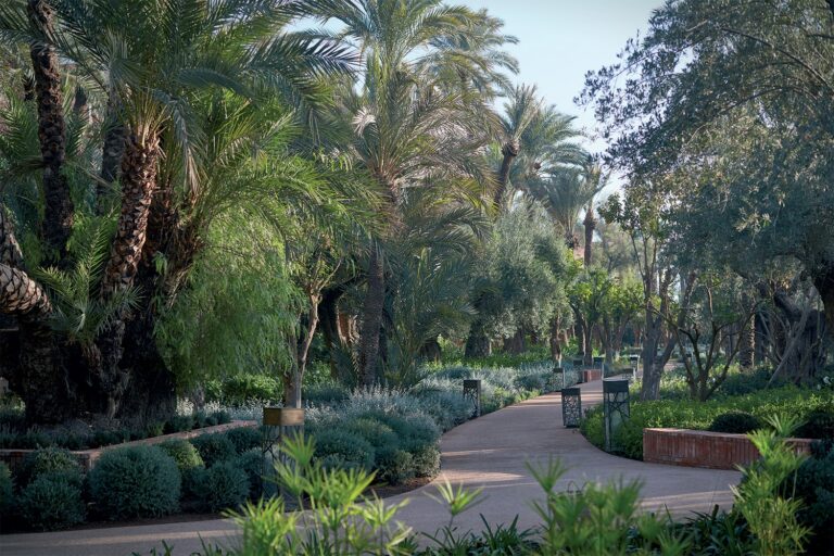 Path through the palm garden, Royal Mansour Marrakech