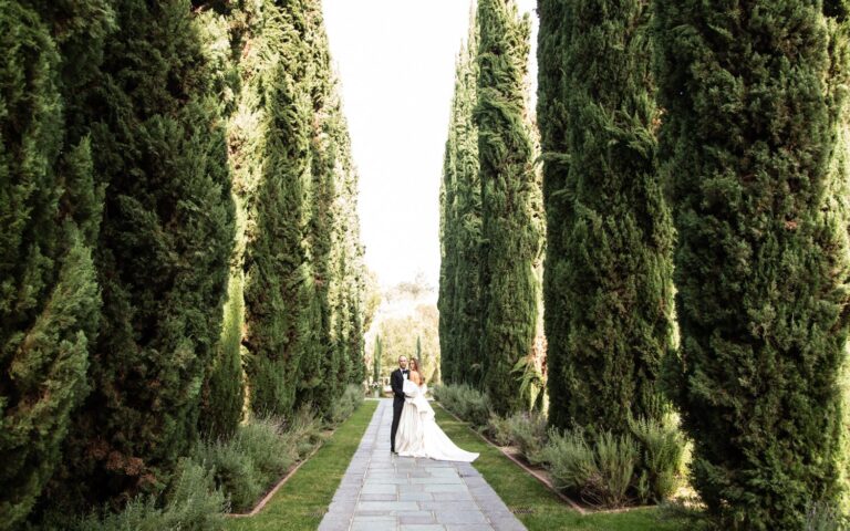 Couple walking an avenue of tall cypress trees, Samuel Lippke Studios