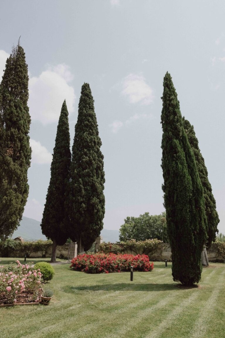 The Cypress Avenue and Rose Garden, San Pietro sopra le Acque