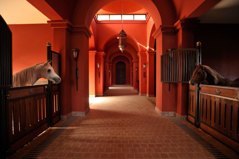 The Arabian horse stables, Selman Marrakech