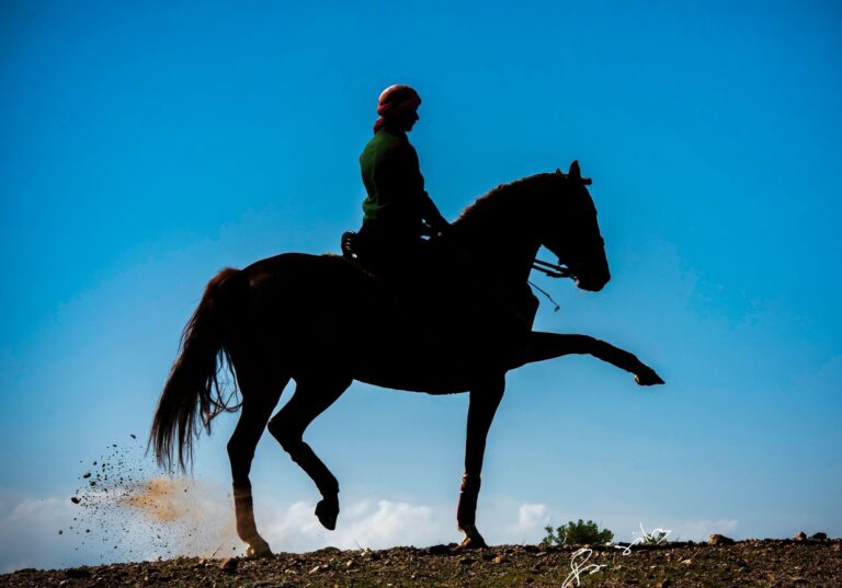 Horse and rider, Selman Marrakech