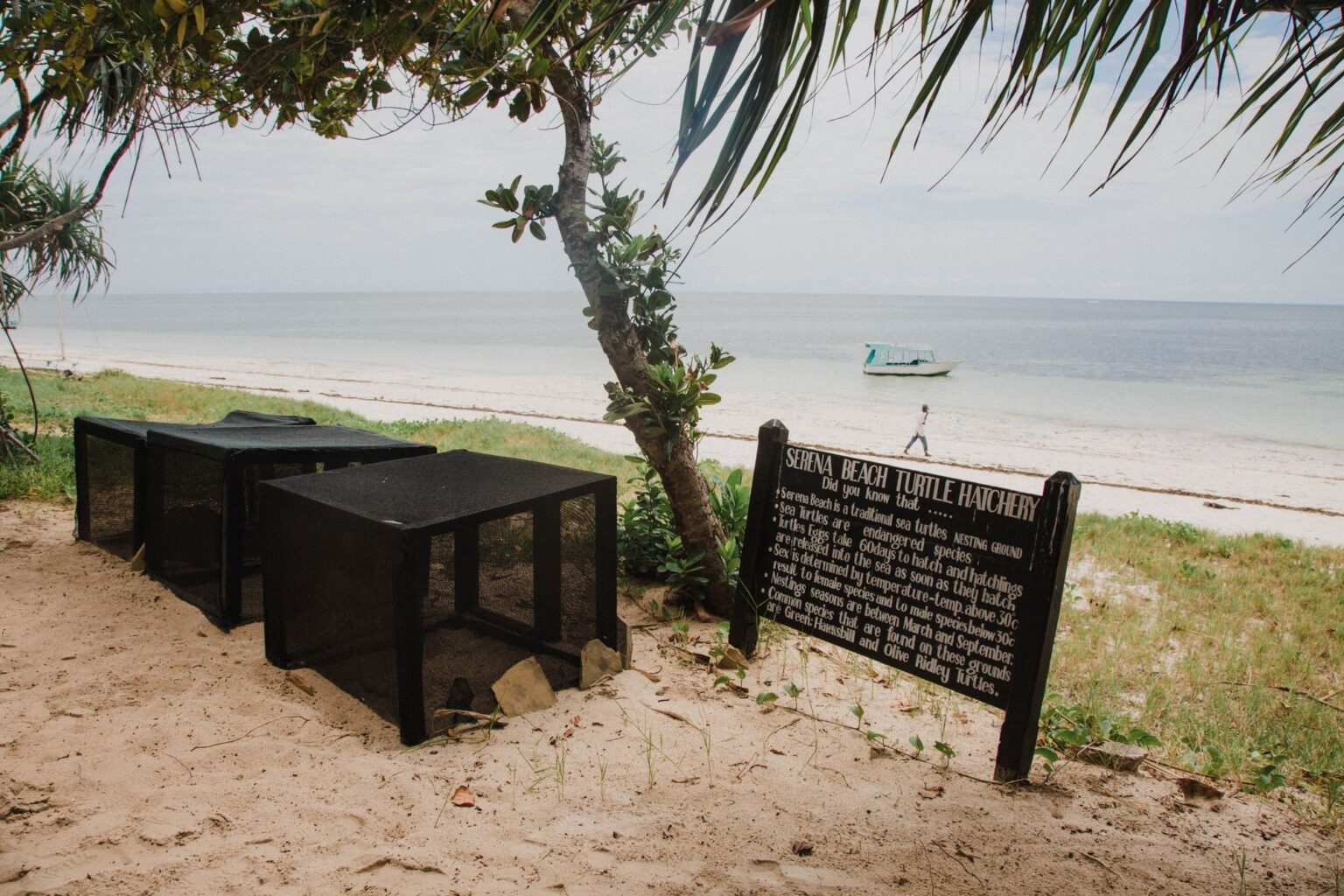 Turtle hatchery enclosures on the beach