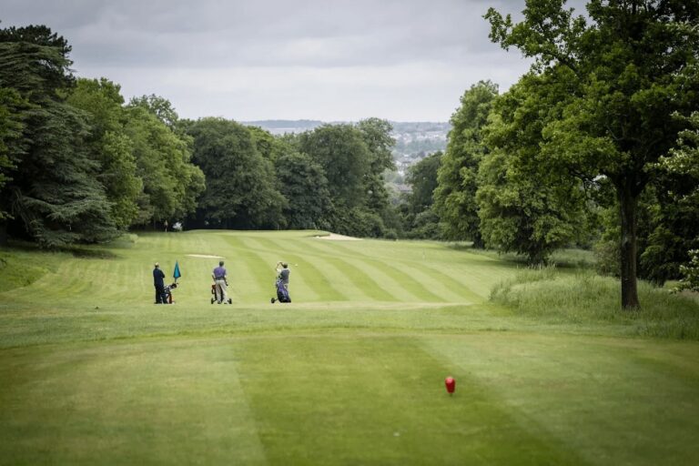 , Shendish Manor Hotel & Golf Course