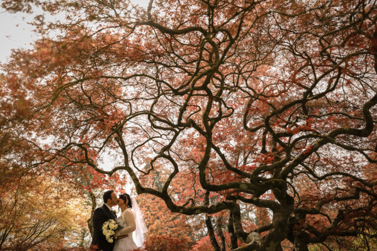 A kiss beneath a red-leaved tree at Tenuta San Liberato, Lake Bracciano, Silvia Cleri Photography