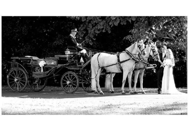 , Siobhàn Craven-Robins, Wedding Co-ordinator
