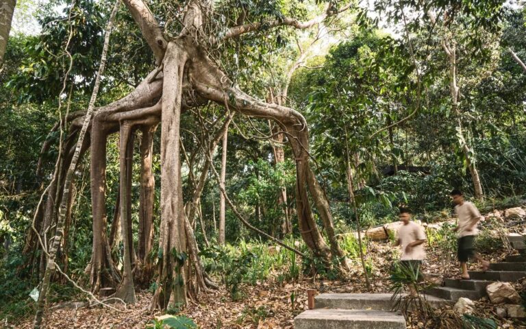 , Six Senses Krabey Island