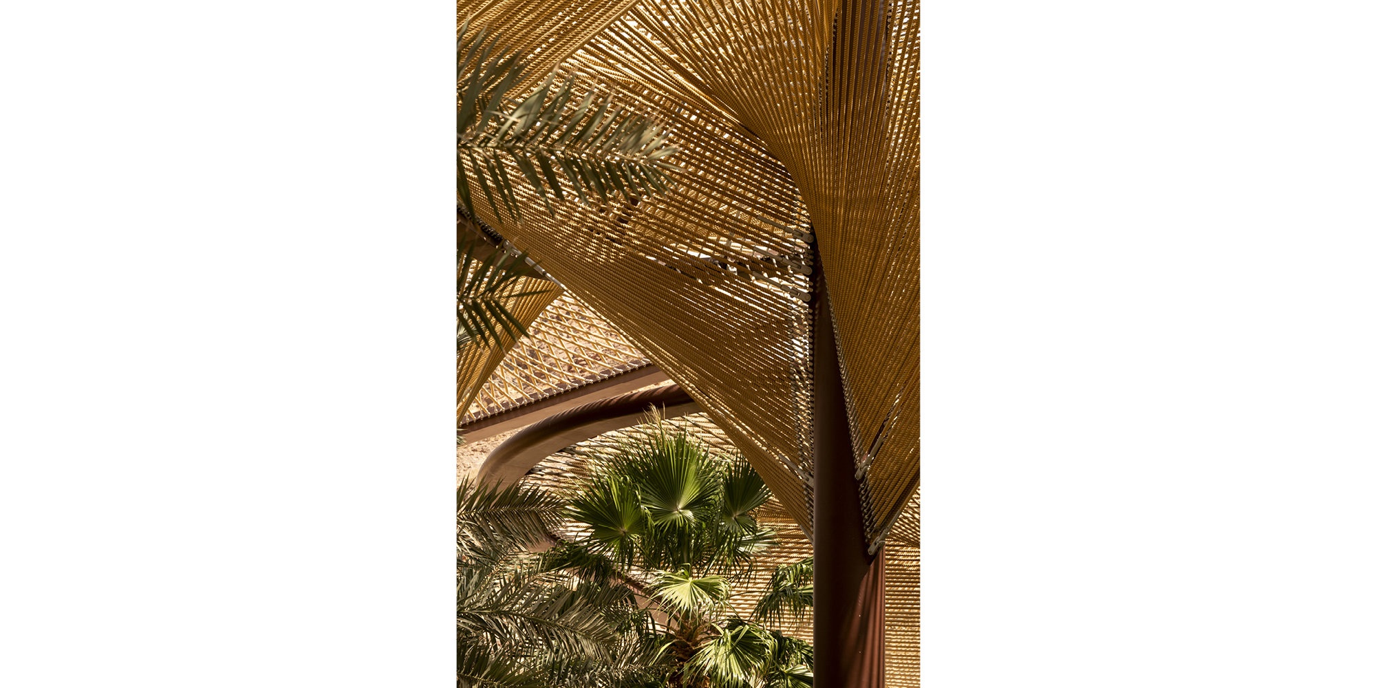 The Oasis Canopy and Entrance, Foster + Partners Architect's Photography, Six Senses Southern Dunes