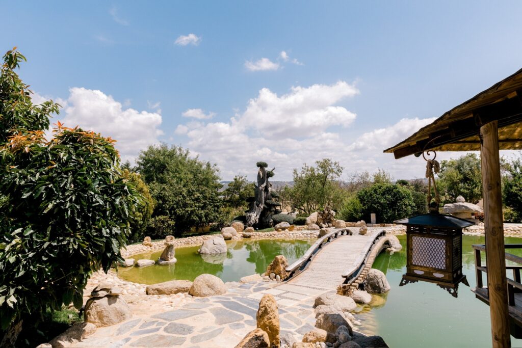 Gardens of water, stone and old trees
