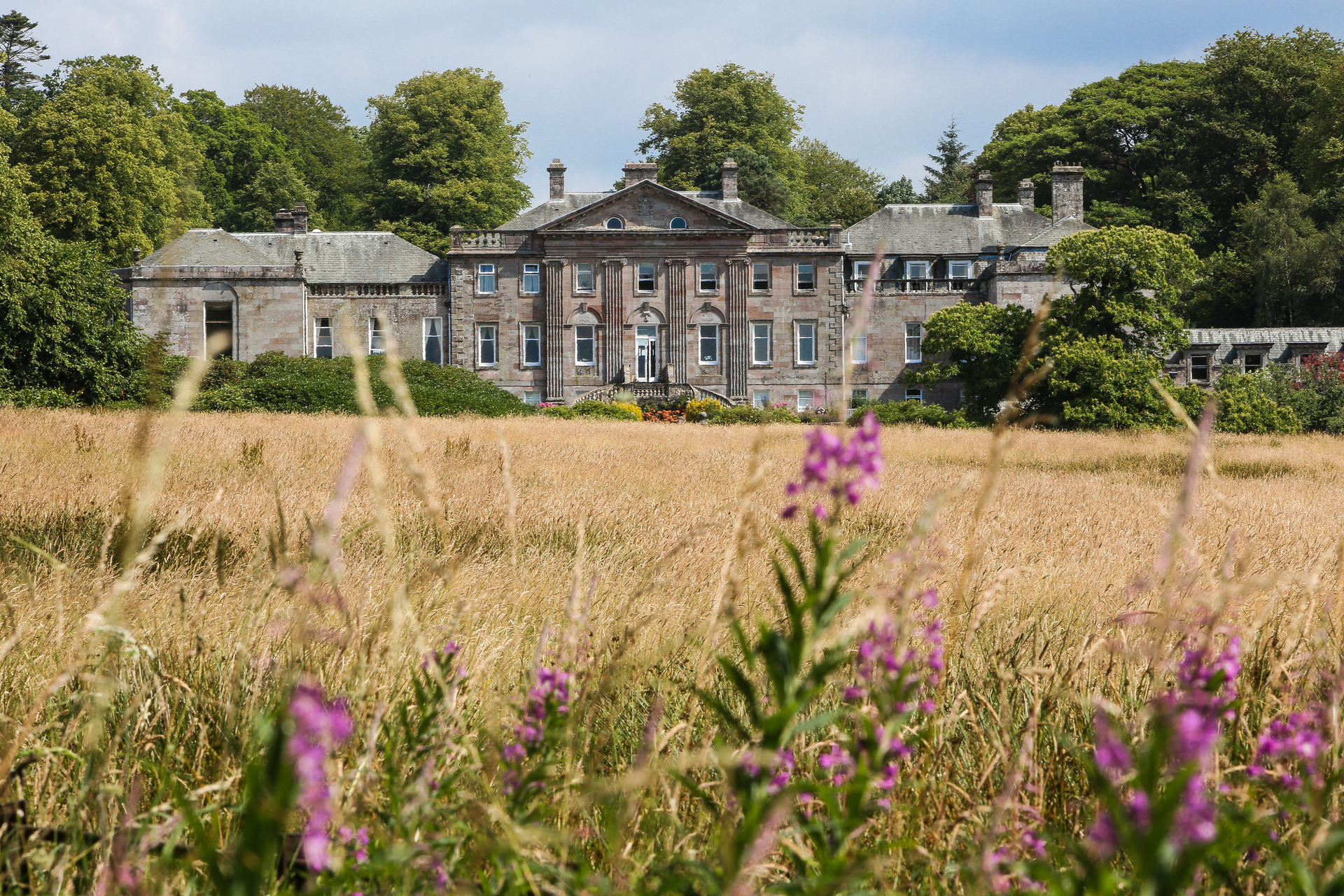 The house seen across a summer meadow of long grass and rosebay willowherb, Springkell