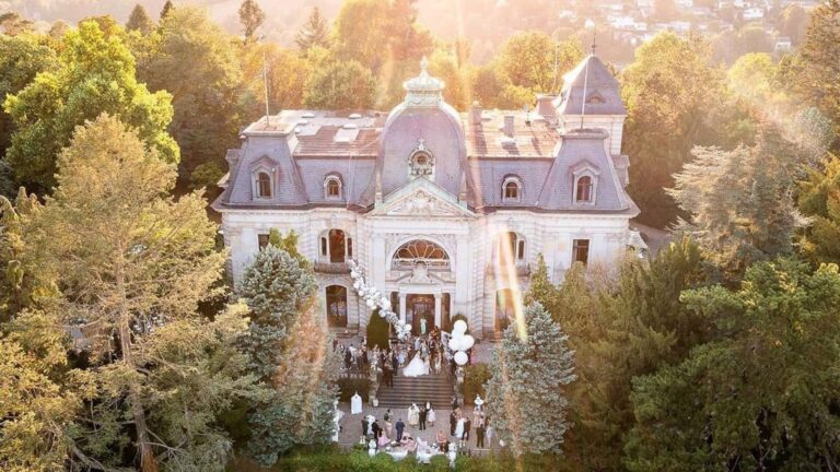 Aerial view of the villa and park, Stella Rheni