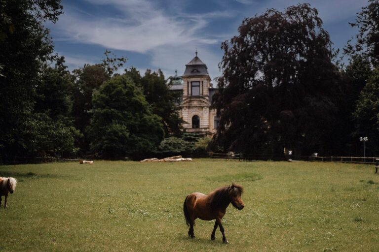 Park meadow with the villa behind, Stella Rheni