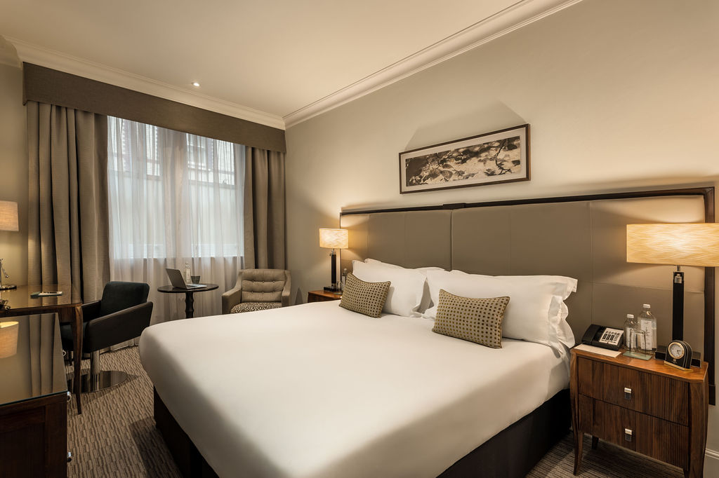 Executive Rooms and Suites