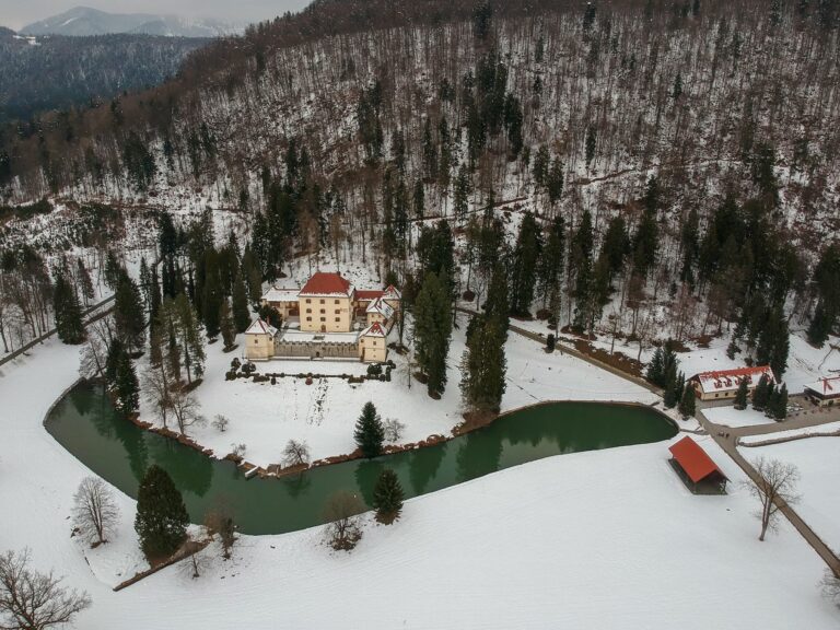 Aerial view of the castle and lake in winter, Strmol Castle