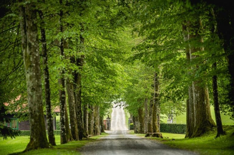 The Tree-Lined Approach, Strmol Castle