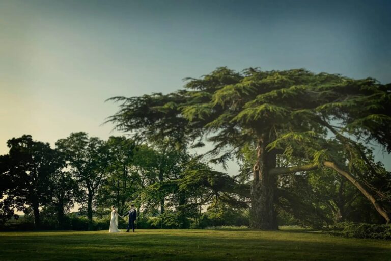 A Couple in the Parkland Beneath the Cedar of Lebanon, Stubton Hall