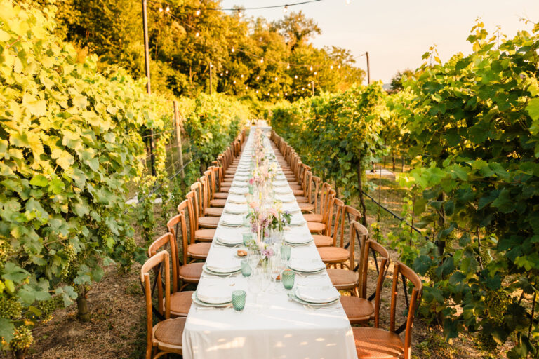 A long table laid down a row of vines at golden hour, cane chairs either side, Suellen Fernandes Weddings & Celebrations