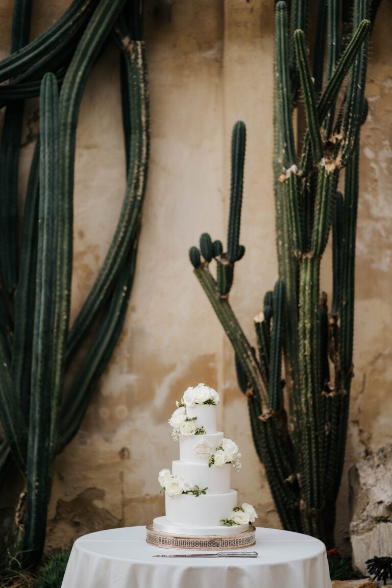 A wedding cake in the cactus house of the Great Conservatory, Syon Park