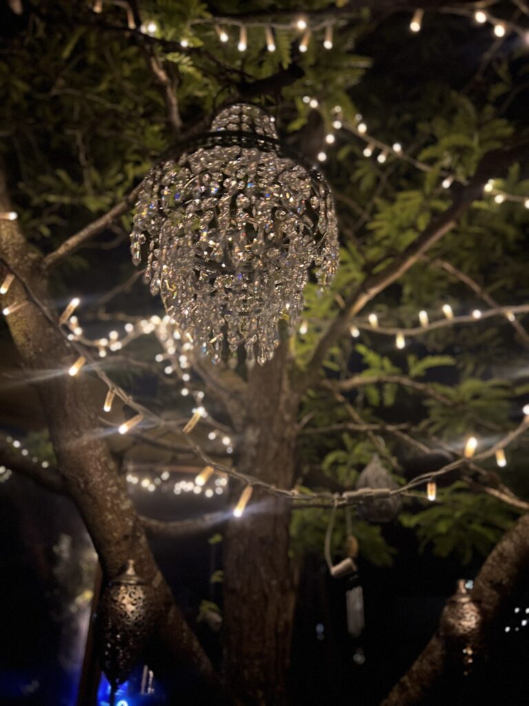 A crystal chandelier hung in a tree among fairy lights at night, Tan House Newland