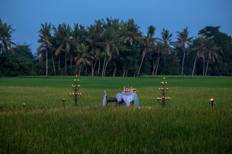 Private dinner set among the rice paddies, Tanah Gajah, a Resort by Hadiprana