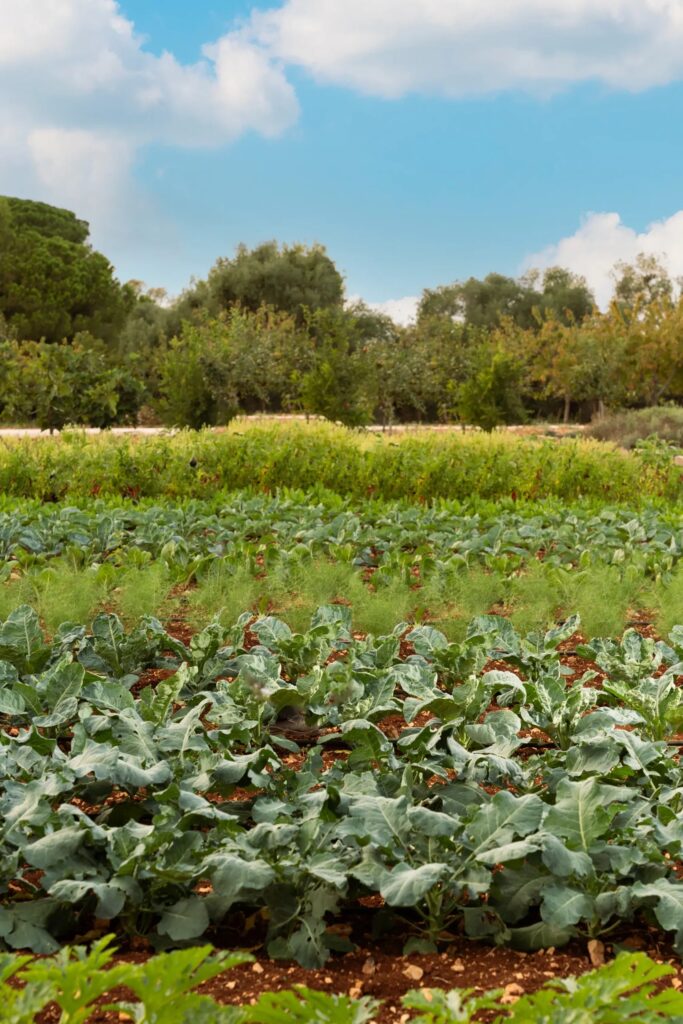 A working farm