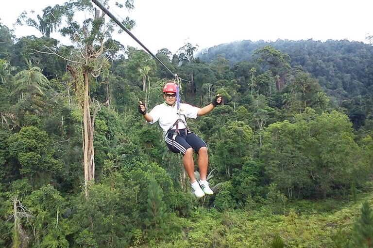 Flying fox zip line over the rainforest, The Chateau Spa and Organic Wellness Resort