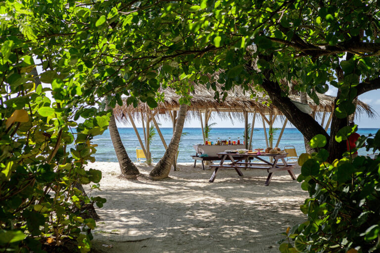 Beach picnic under the trees, The Cotton House