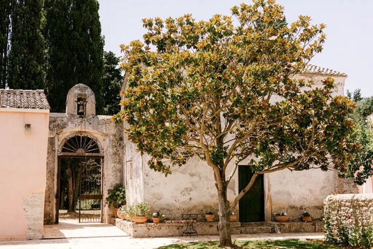 The chapel gateway and courtyard tree, The Courti Estate