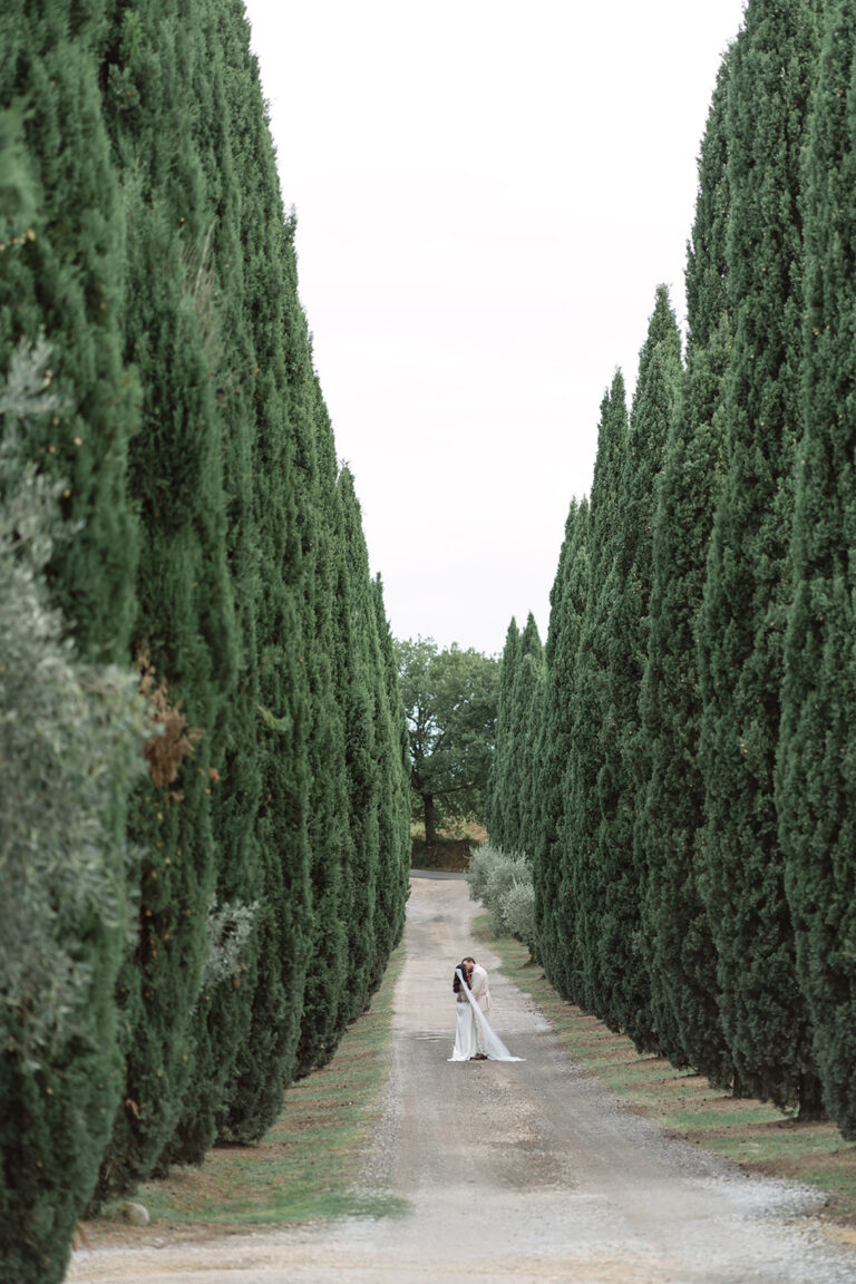 Cypress avenue leading to the wedding venue, Tuscany, The Dream Wedding Lab