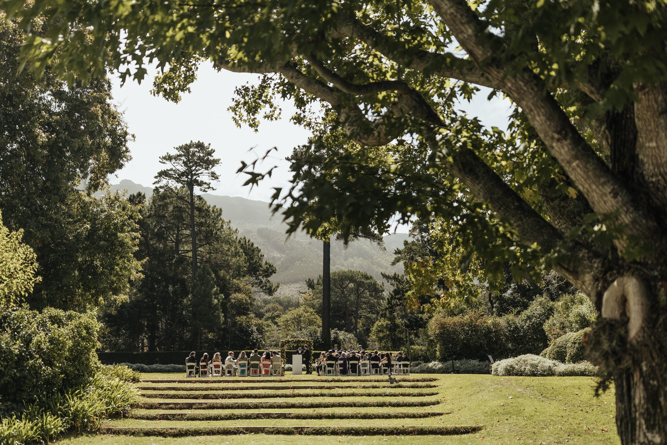 The terraced lawn beneath an old tree, The Forum Embassy Hill