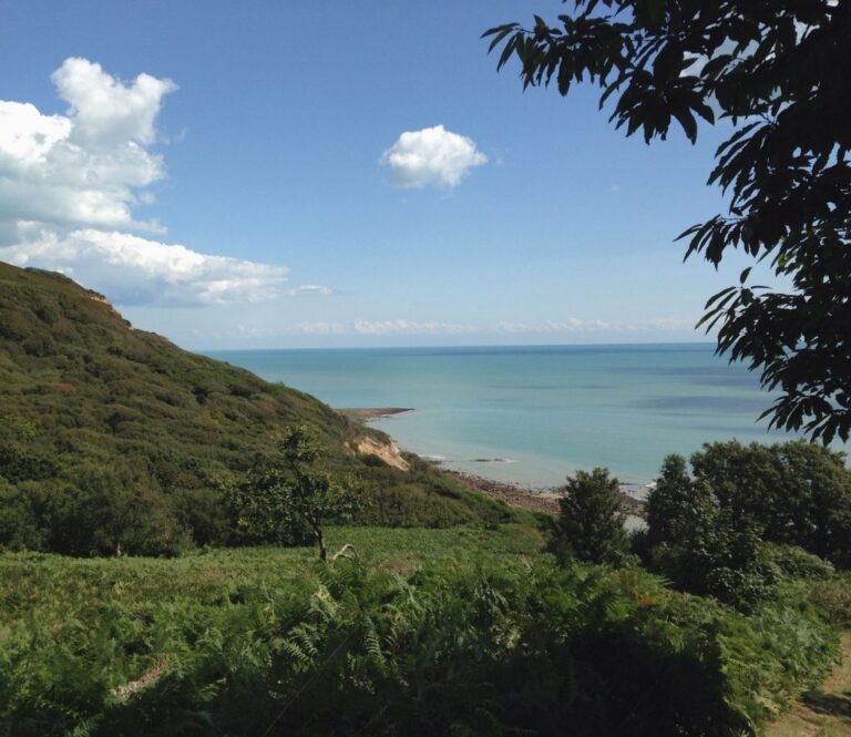 Sea views over the vineyards toward Camber, The George in Rye