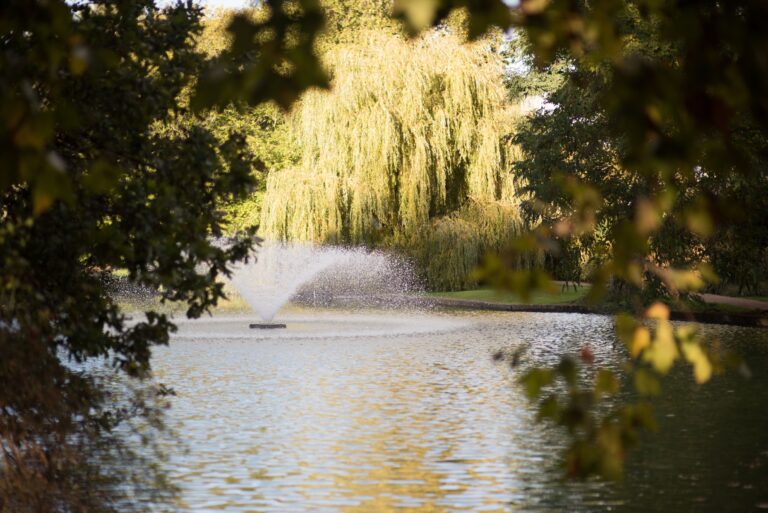 The lake and its fountain beneath a weeping willow in the club grounds, The Hurlingham Club