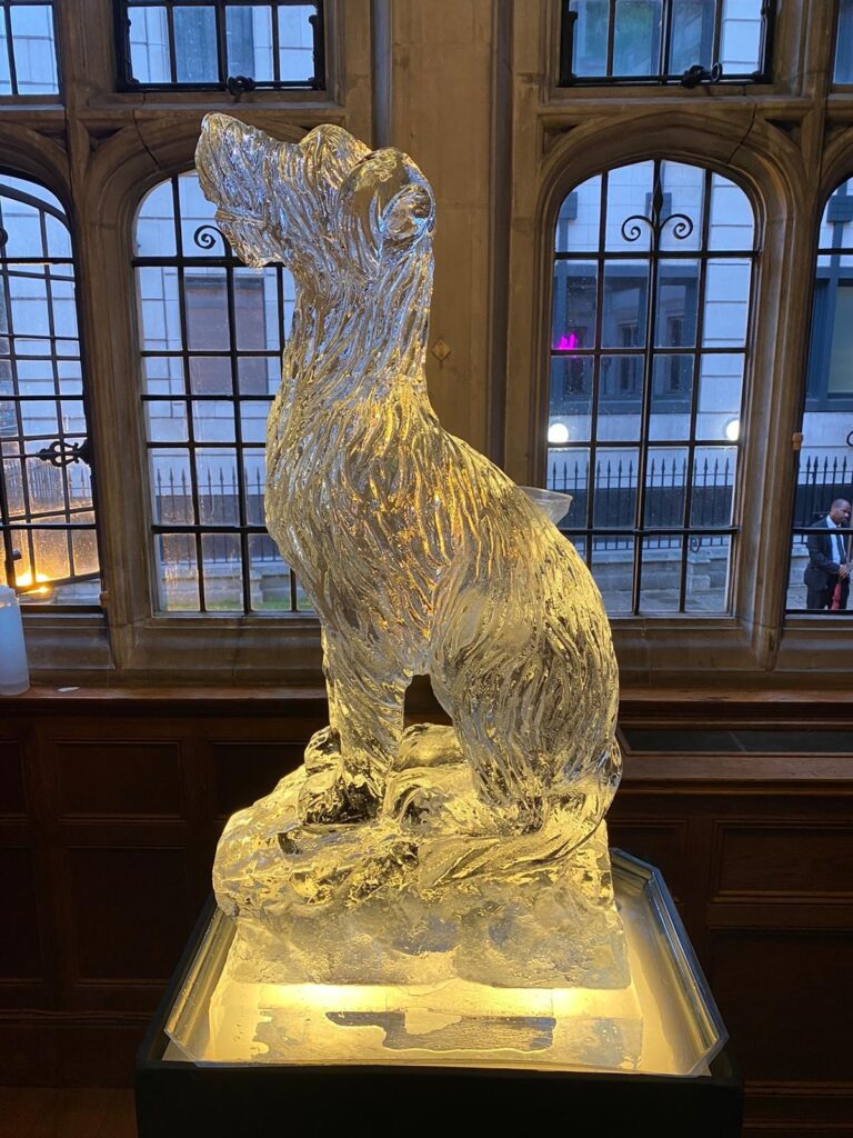 A hand-carved 1m sitting dog ice sculpture on an illuminated base, made for a wedding, The Ice Box
