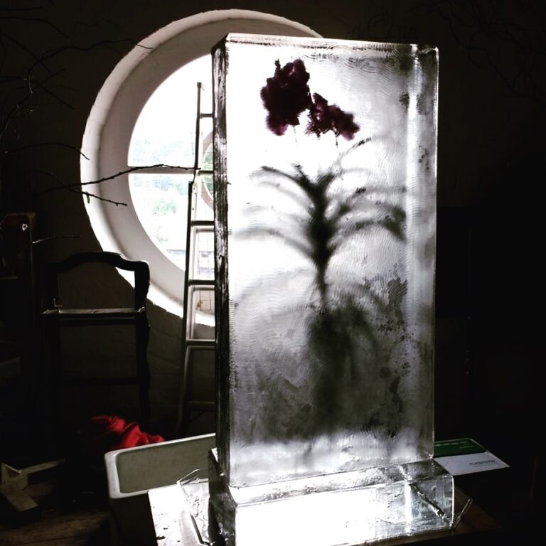 An orchid frozen inside a tall block of ice beside an arched window, The Ice Box