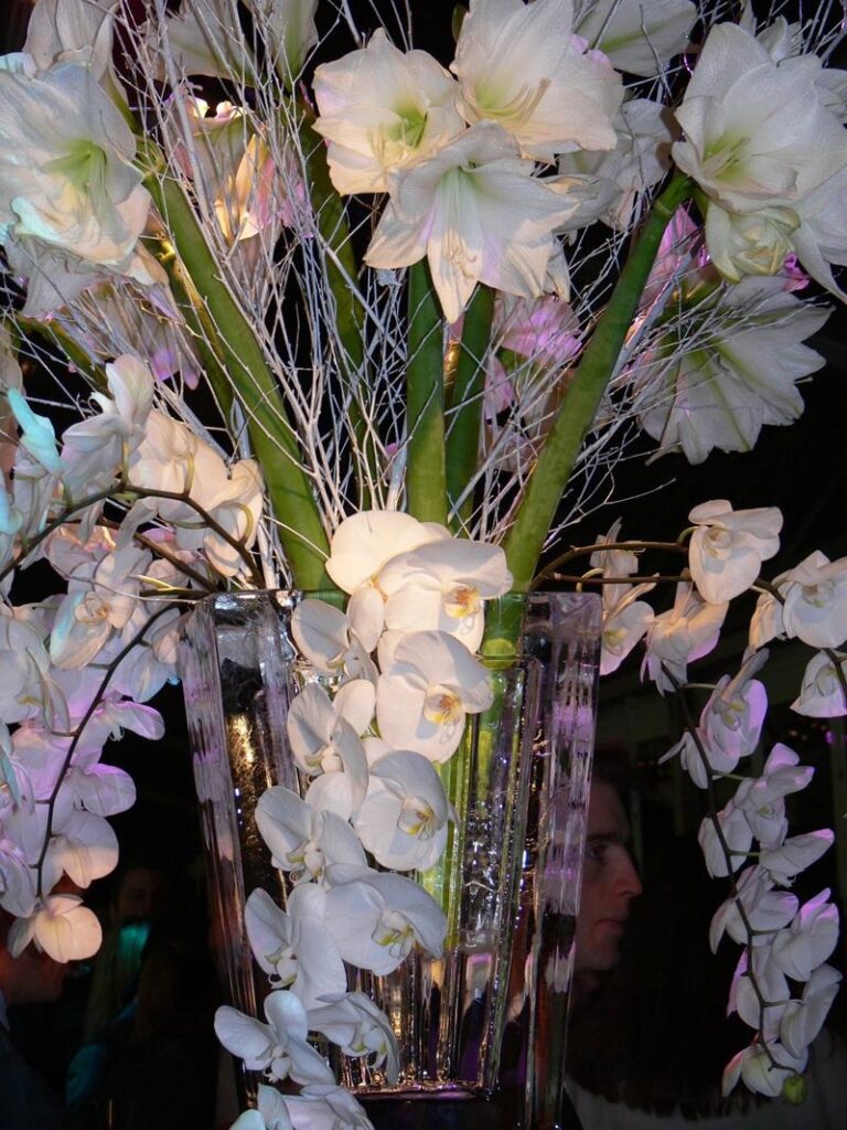 White orchids and amaryllis arranged in a carved ice vase, The Ice Box