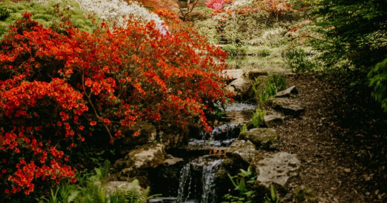 An autumn garden with a waterfall, The Lake Country House Hotel & Spa