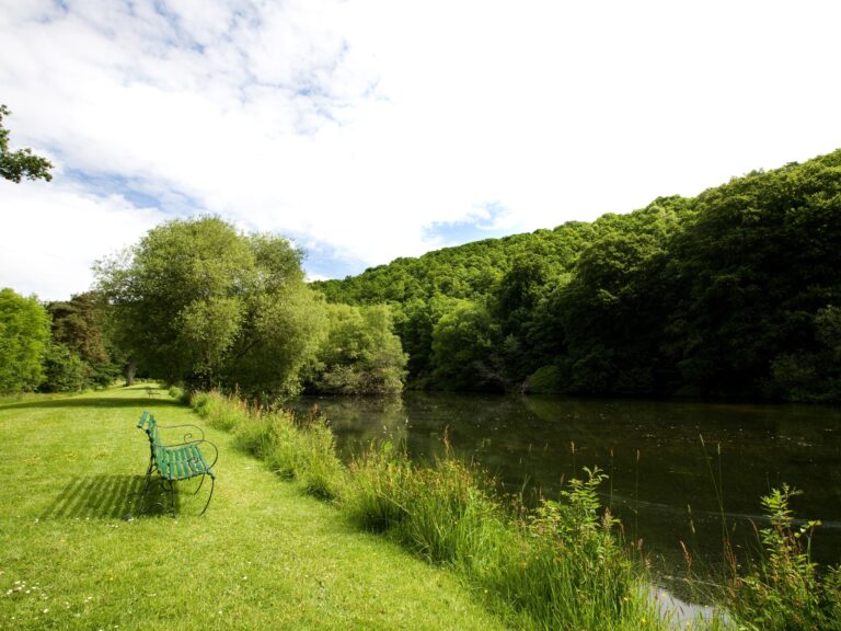 The lake with a bench in the grounds, The Lake Country House Hotel & Spa
