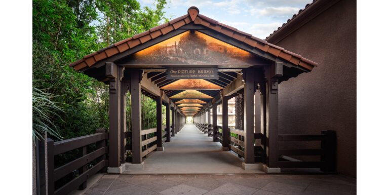 The Picture Bridge