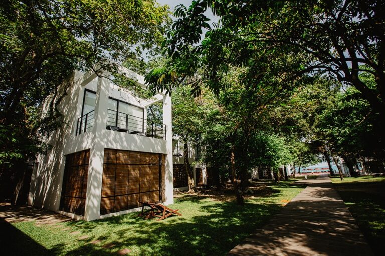 An Exotic Suite building among mature trees in the garden, The Library