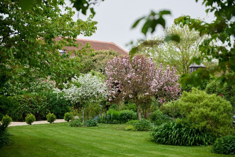 The hotel gardens, lawn and mature flowering borders, The Montagu Arms Hotel