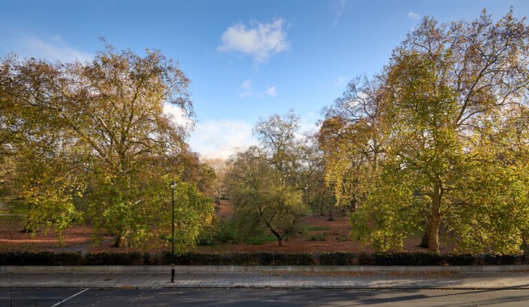 Green Park across Piccadilly from the hotel, with autumn plane trees, The Sheraton Park Lane Hotel