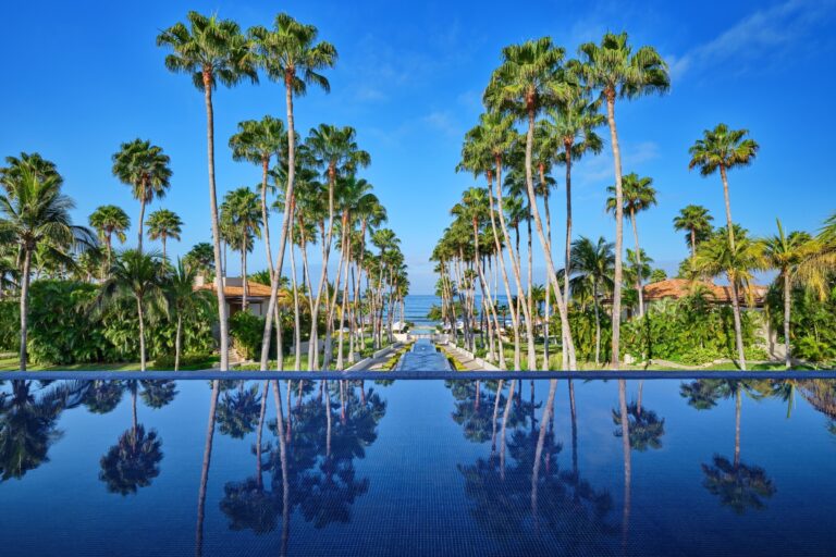 An infinity pool lined with palms, The St. Regis Punta Mita Resort