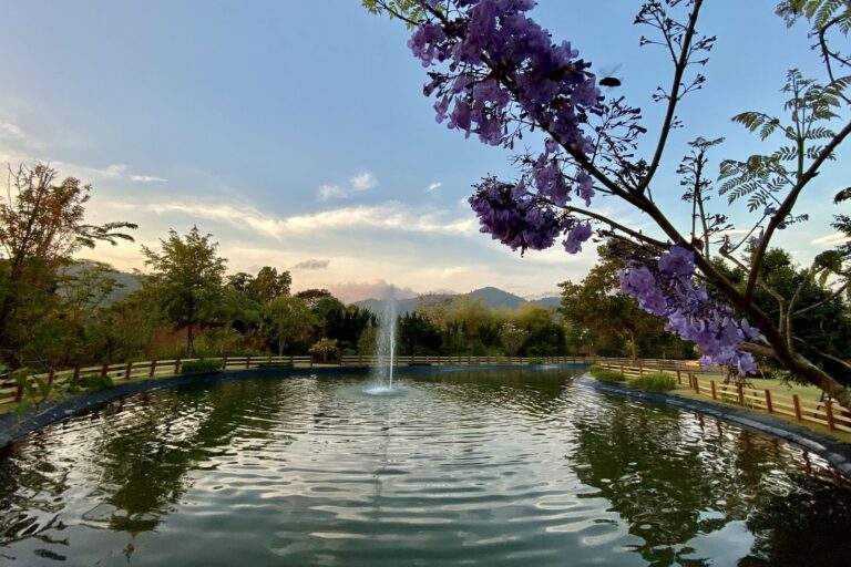 The lake and fountain at dusk, The Vanderbilt Estate