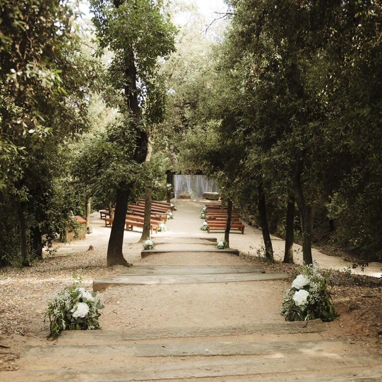 Path down through the woodland to the ceremony benches, Torre Sever