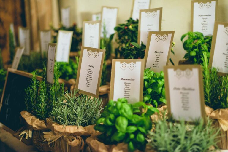 Escort cards set among potted herbs, basil and rosemary, Tuscan DMC
