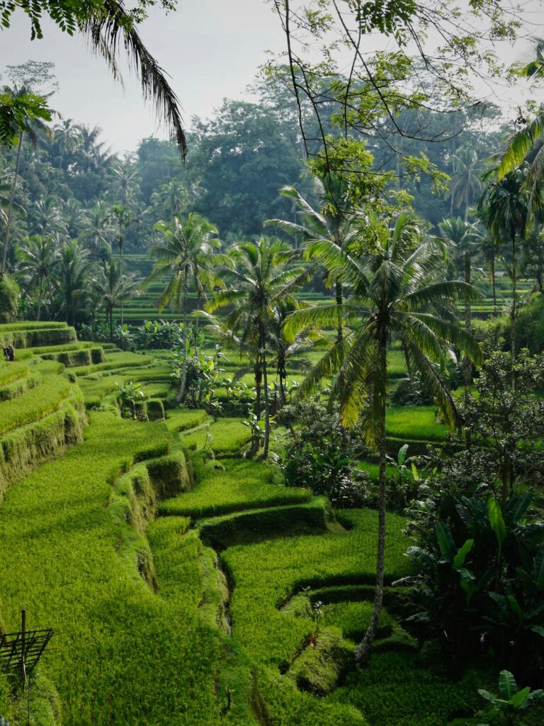 Indonesia